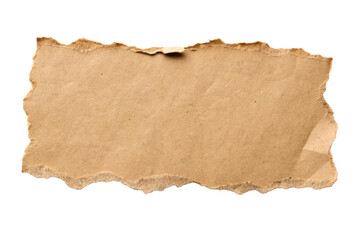 Blank aged paper piece with torn edges suitable for crafting and artistic projects in natural settings, cut out