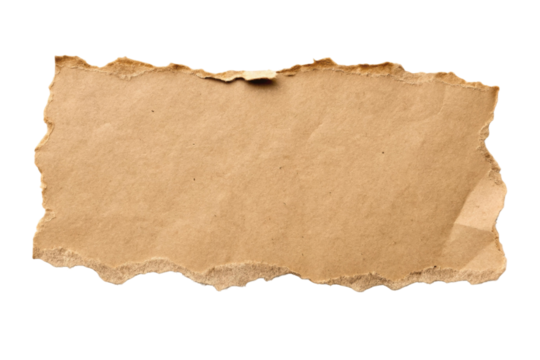 Blank aged paper piece with torn edges suitable for crafting and artistic projects in natural settings, cut out