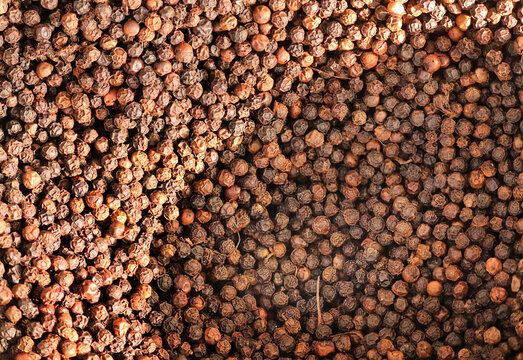 herbs Top view. Macro spices background. Black paper background. black peppercorns spices. be covered in full screen. Dry black pepper seeds. Black pepper before grinding in pot. Peppercorn background