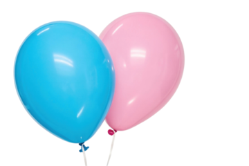 Celebration decor with blue and pink balloons for gender reveal party or birthday event in joyful atmosphere, cut out