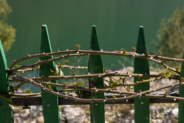 Fototapete bei efototapeten.de bestellen   