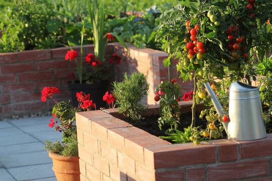 A modern vegetable garden with raised bricks beds - Powered by Adobe