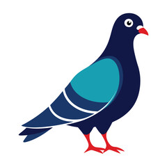 vector illustration of a pigeon