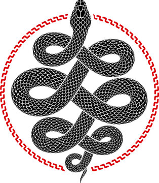 Vector illustration of a snake that wriggles and fills a circle shape. Isolated tattoo design of black serpent silhouette of round form.
