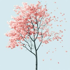 branch twig pink petal blossom plant stem cherry blossom prunus geraniums