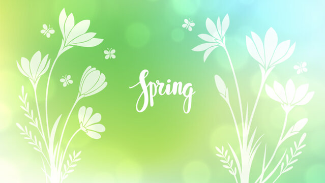 Hello Spring. Hand lettering and spring flowers for Springtime season greetings and invitations. Blurred background. Vector illustration.