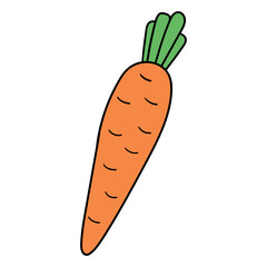 Hand drawn cartoon carrot on white background.