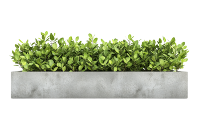 A modern planter filled with vibrant green plants, showcasing a sleek design. isolated on white background and transparent background