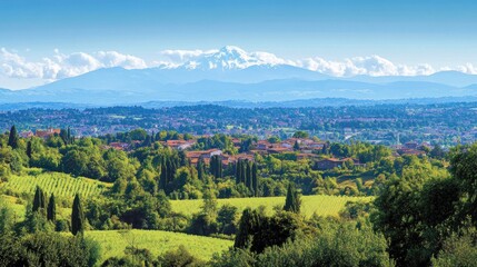 Scenic Italian Countryside Landscape View with Vineyards and Mountain Backdrop