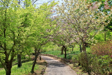 春の公園
