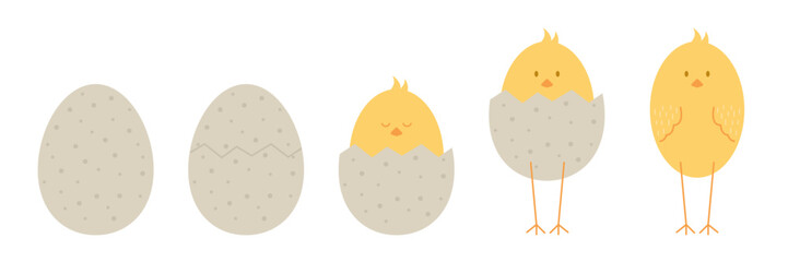 cute flat illustration of chick birth. Chicken egg, cracked egg, chick in eggshell, chicken standing. Design for Easter. Graphic spring element. For decoration, for printing