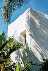 Close-up of modern architecture, white stucco walls, tropical plants, shadow play, blue sky