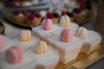 Elegant Wedding Candy Bar with Colorful Sweets, Cakes, and Fruits