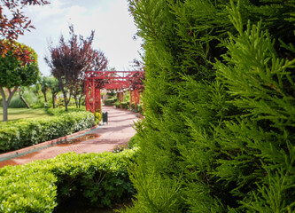 View of a beautiful park with cypress in the foreground, red pergola surrounded by trees and shrubs