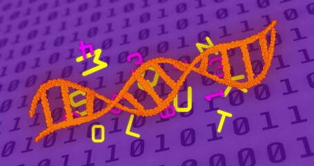 Image of dna strand, binary coding and data processing over purple background