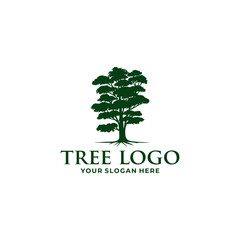 Obraz premium green tree logo vector