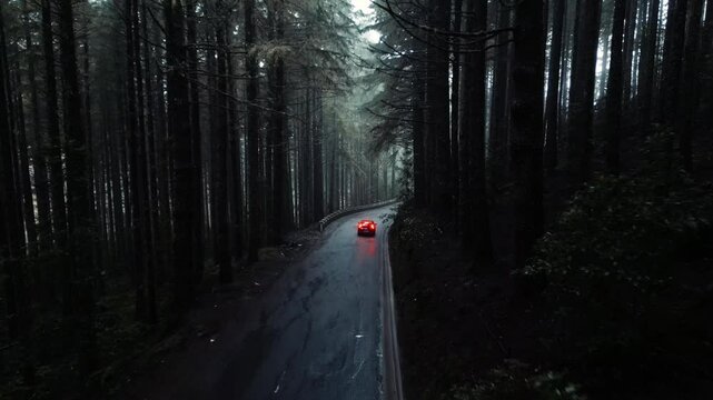 Car Driving Through a Misty Wet Forest on Madeira &ndash; Aerial Drone View