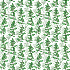 Watercolor seamless pattern with red flower, pansies and green meadow plants