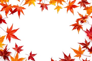 Frame of Autumn Maple Leaves on White Background