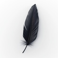 Elegant Black Feather Isolated on Soft White Background for Design