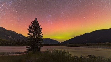Lone pine tree silhouetted against a vibrant aurora borealis in a serene landscape, showcasing the natural beauty and tranquility of the northern lights in a breathtaking night sky.