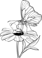 pattern, seamless, flower, floral, vector, leaf, wallpaper, design, nature, vintage, illustration, art, flowers, texture, ornament, decoration, spring, plant, summer, retro, drawing, element, leaves, 