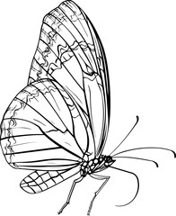 pattern, seamless, flower, floral, vector, leaf, wallpaper, design, nature, vintage, illustration, art, flowers, texture, ornament, decoration, spring, plant, summer, retro, drawing, element, leaves, 