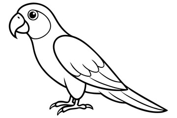 Cartoon Parrot Line Drawing – Simple Black and White Illustration with Big Eye and Curved Beak