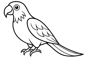 Cartoon Parrot Line Drawing – Simple Black and White Illustration with Big Eye and Curved Beak