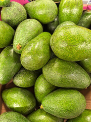 Background and texture of green avocado fruits lying on a counter at a farmer's market, in a store. A group of several fruits. Healthy food, healthy diet, vegetables and fruits