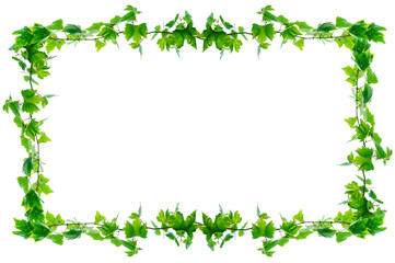 vine frame leaf vine circle Isolate on transparent background PNG file