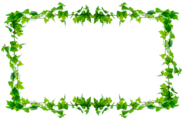 vine frame leaf vine circle Isolate on transparent background PNG file