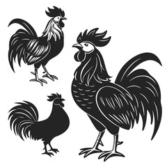 Roosters Silhouette vector illustration
