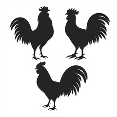 Roosters Silhouette vector illustration