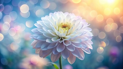 Obraz premium Panoramic Macro Photography: Delicate White Flower with Soft Colorful Background