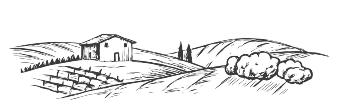 Hand-drawn sketch illustration of a Tuscany landscape, featuring rolling hills, agricultural fields, and rustic charm. Perfect for travel, farm, and countryside-themed designs.