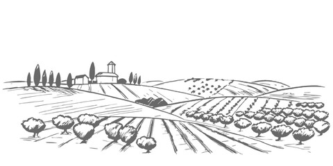 Fototapeta premium Hand-drawn sketch illustration of a Tuscany landscape, featuring rolling hills, agricultural fields, and rustic charm. Perfect for travel, farm, and countryside-themed designs.