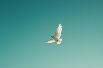 Fototapeta premium Beautiful white bird flying gracefully against a serene blue sky, symbolizing peace, freedom, and tranquility in nature's vast expanse