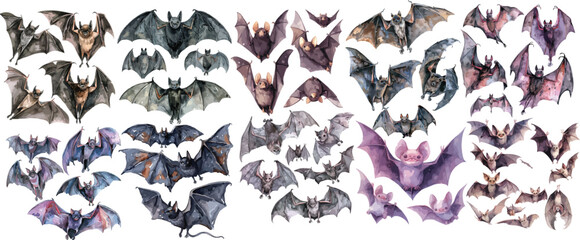bat watercolor clipart