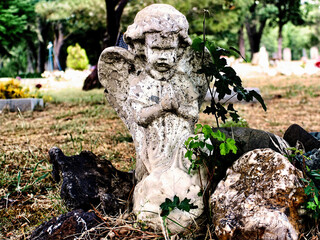 Close-up of an old praying angel in a cemetery