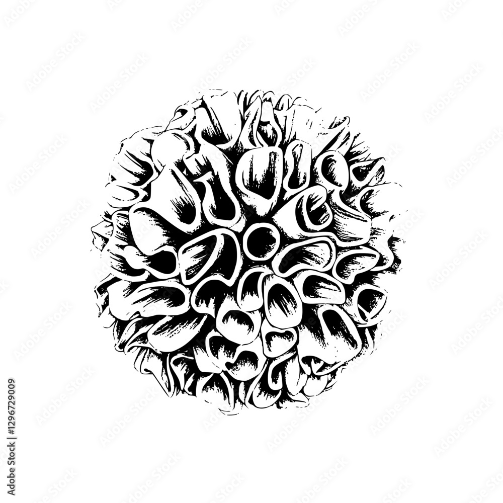 Poster intricate hand-drawn vector illustration of a cellular structure showcasing unique shapes and textur