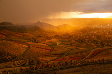 Dramatische Stimmung im Herbst in den Weinbergen bei Stuttgart. Auf dem Kappelberg Blick Richtung...