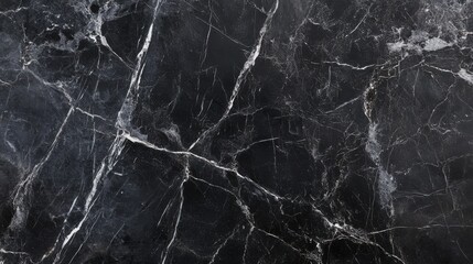 Dark charcoal black marble with deep gray veins,