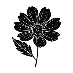 black and white flower isolated With White background