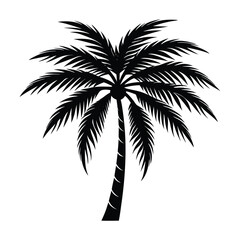 Obraz premium palm tree silhouette With White background