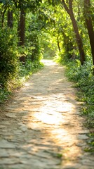 Fototapeta premium Scenic walking path in lush forest nature serene environment peaceful viewpoint