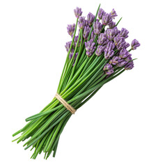 Fototapeta premium Chives bouquet on isolated nature photography