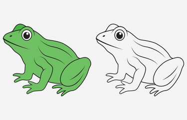 Colorful frog vector art Illustration Isolated on white background
