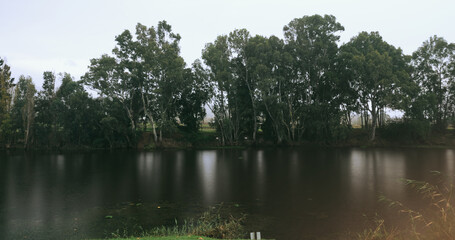 Lake, trees and environment, landscape with countryside or camping location, travel and calm nature background. Forest, water and adventure, outdoor for holiday or explore with hiking and fresh air