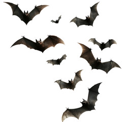 Naklejka premium set of halloween bats isolated on transparent png